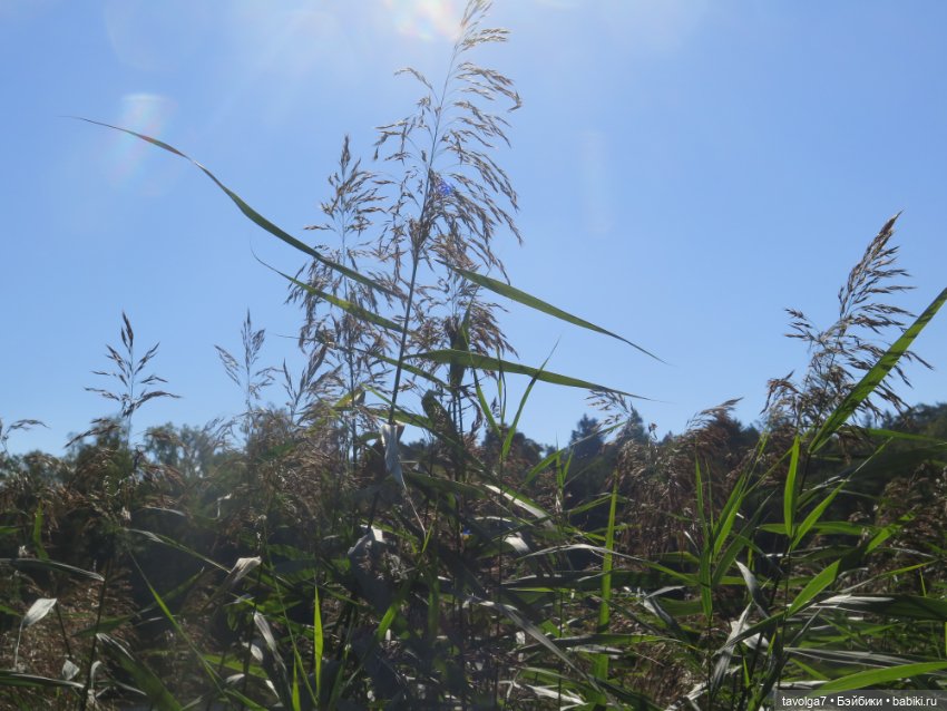 "Мы не можем быть ни довольны, ни счастливы..." (фото 5)