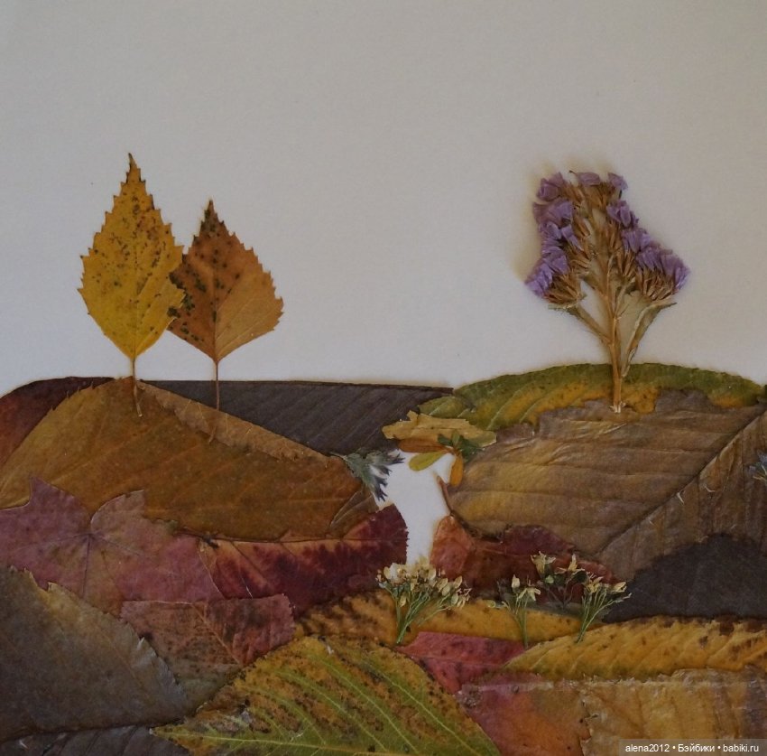 Листья осенние — Другие хобби и увлечения: сад