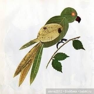 Листья осенние — Другие хобби и увлечения: сад