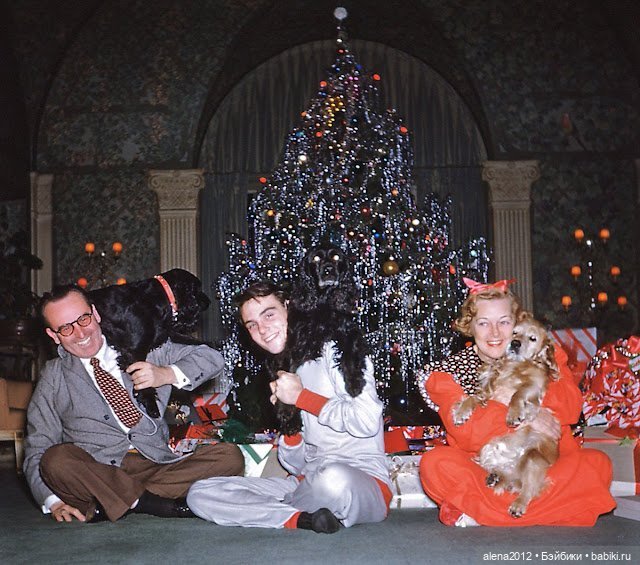 Чудо- ёлка , или праздник навсегда