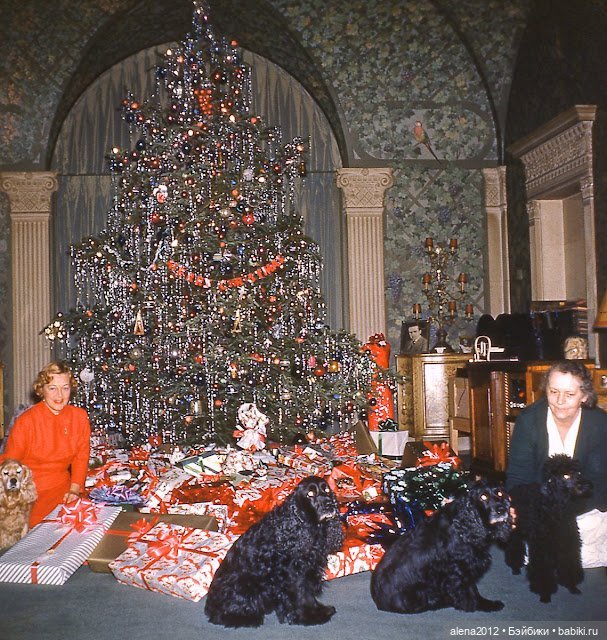 Чудо- ёлка , или праздник навсегда