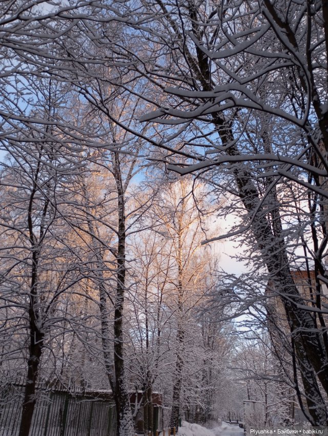 Новогодняя фотосессия моих Боболишен