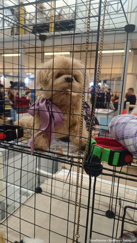 Тишинка январь 2025 часть девятая