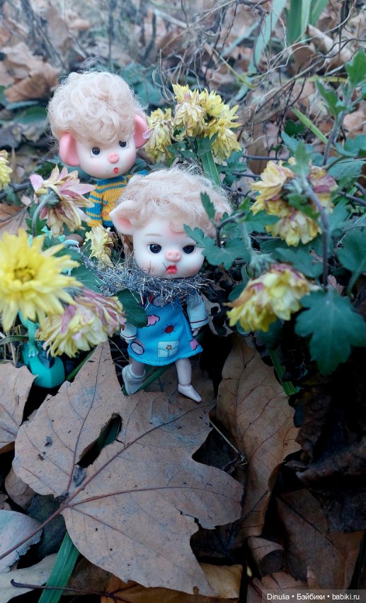 Новогодняя прогулка — Куклы с Алиэкспресс (Aliexpress): Китайские шарнирные