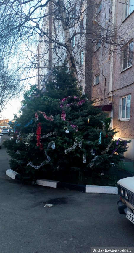 Новогодняя прогулка — Куклы с Алиэкспресс (Aliexpress): Китайские шарнирные (фото 3)