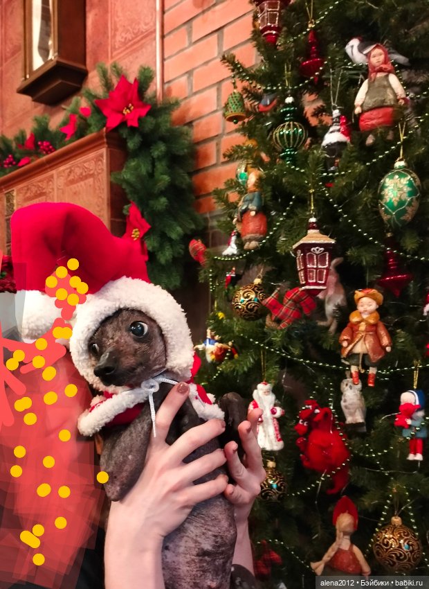 Как одна фотография с весенней выставки изменила всю ёлку