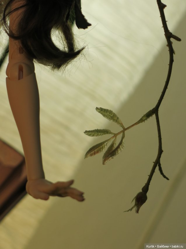 Фея розового куста — Фотоистории с куклами BJD (БЖД): сериалы (фото 5)
