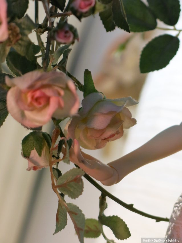 Фея розового куста — Фотоистории с куклами BJD (БЖД): сериалы (фото 6)