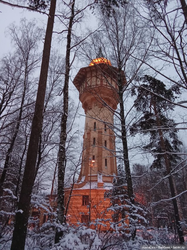 Немного зимней красоты — Красивая природа и цветы: фото пейзажей