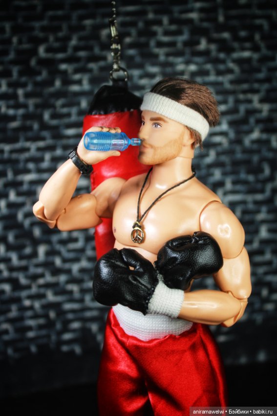 Куклы Barbie (Барби): Looks