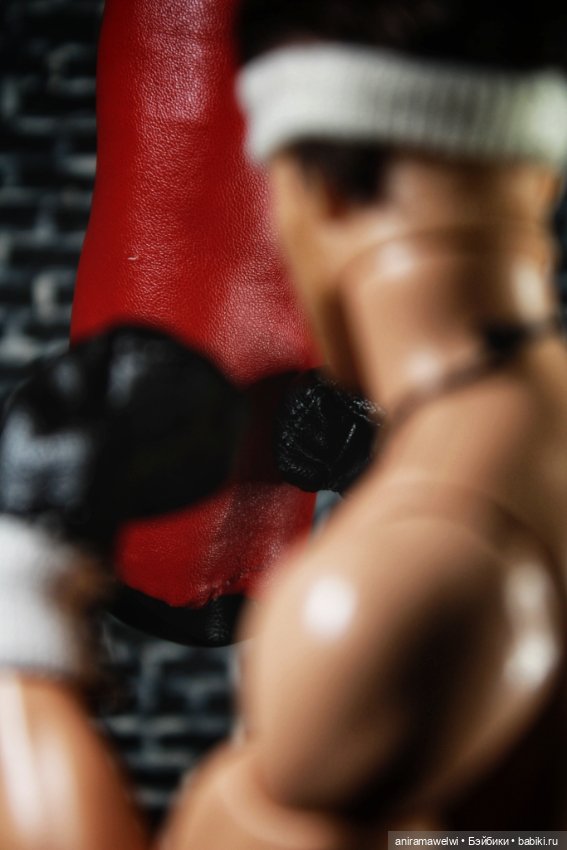 Куклы Barbie (Барби): Looks