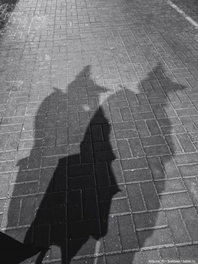 "Крылья, ноги и хвосты!" - главное ушки