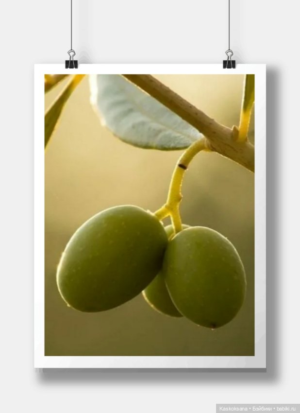 Аппетитная оливка — Одежда и обувь для кукол своими руками: фото