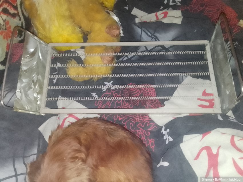 Очередь на опознание / В основном опознаны (фото 8)