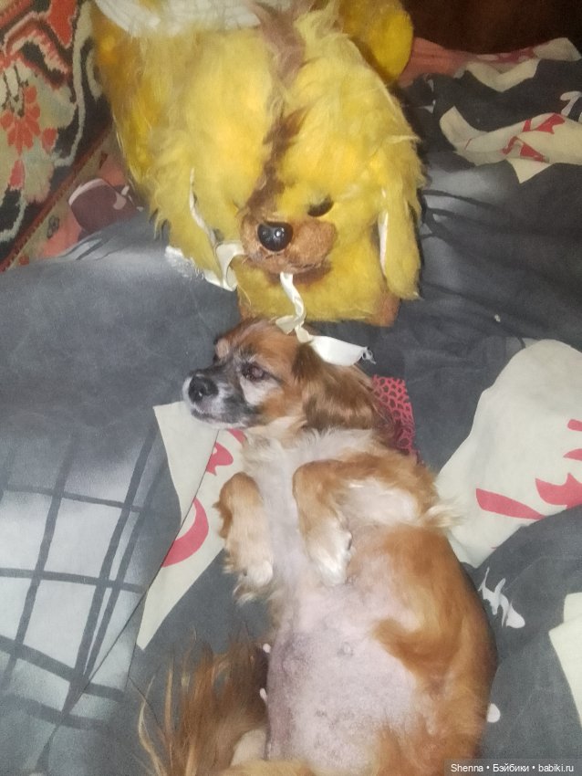 Не было бы счастья, да несчастье помогло