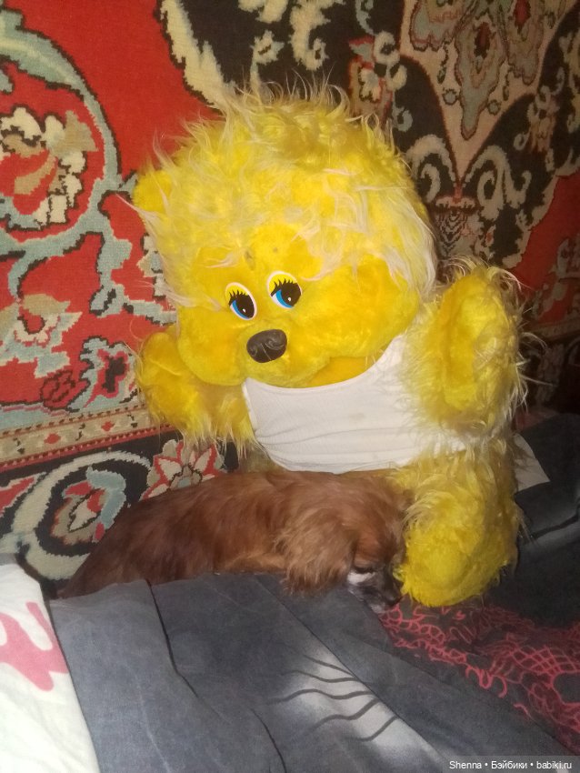 Очередь на опознание / В основном опознаны (фото 7)