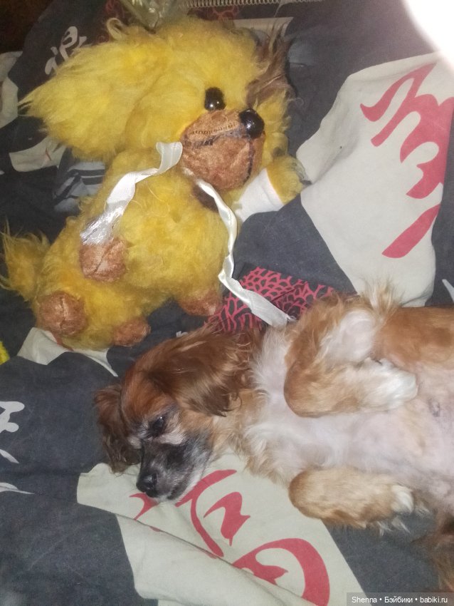 Очередь на опознание / В основном опознаны (фото 6)