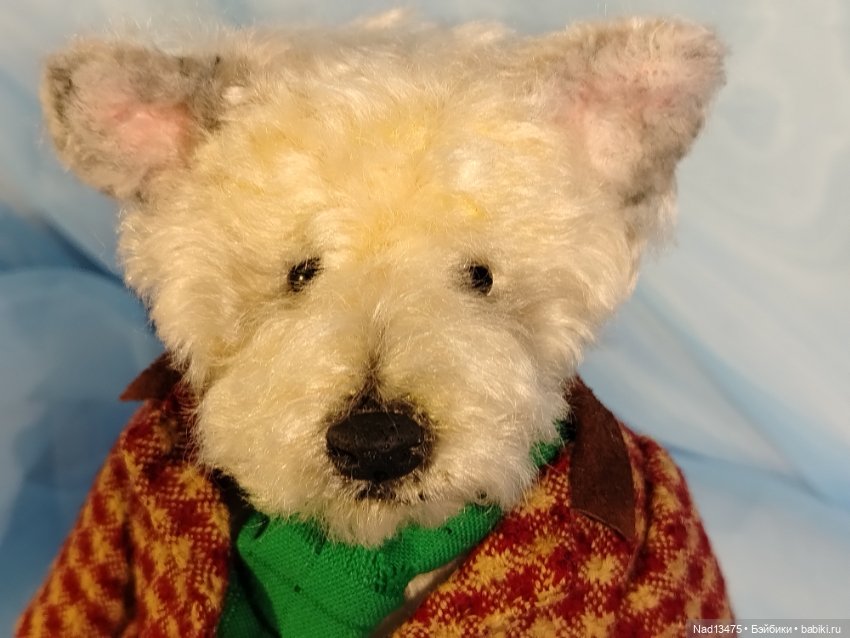 Мишки, мишки и ещё раз мишки