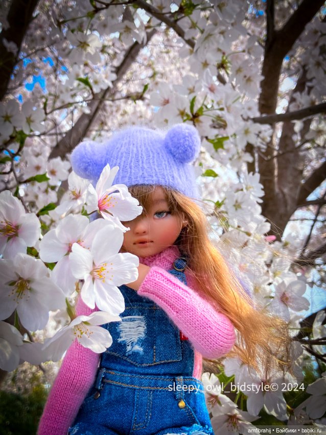 Sakura time — Куклы Dust of Dolls (Даст оф Доллс): BJD (БЖД) (фото 3)