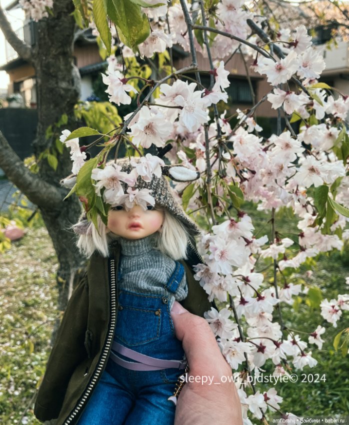 Время опадания — Куклы Dust of Dolls (Даст оф Доллс): BJD (БЖД)