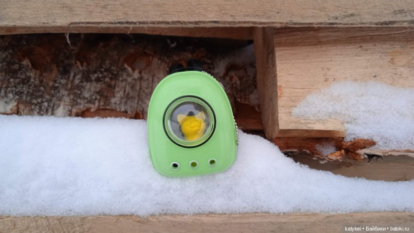 Жёлтая кошечка в переноске и другие