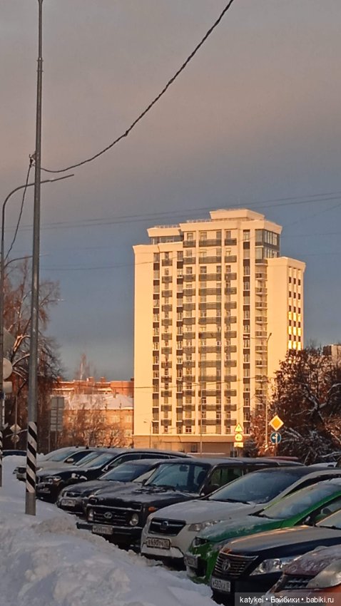 Жёлтая кошечка в переноске и другие