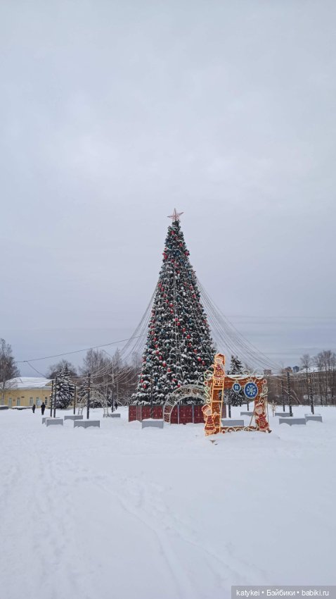 Жёлтая кошечка в переноске и другие