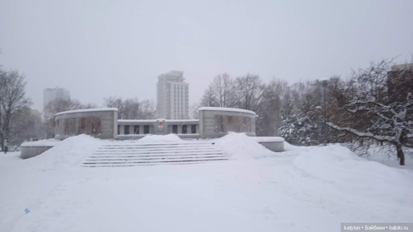 Жёлтая кошечка в переноске и другие (фото 8)