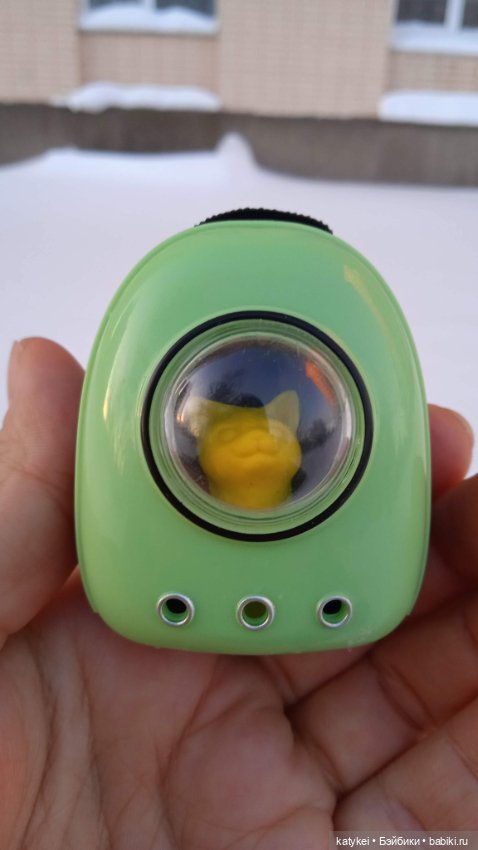 Жёлтая кошечка в переноске и другие