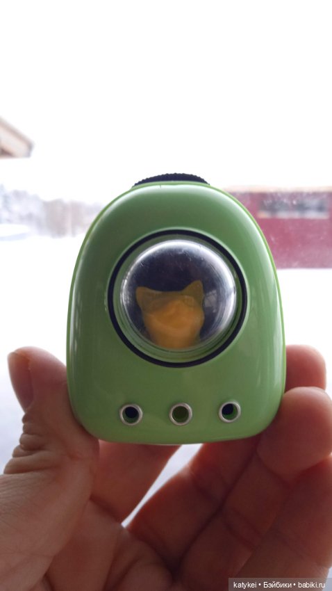 Жёлтая кошечка в переноске и другие