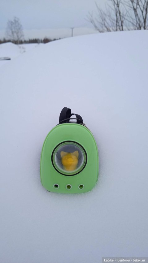 Жёлтая кошечка в переноске и другие