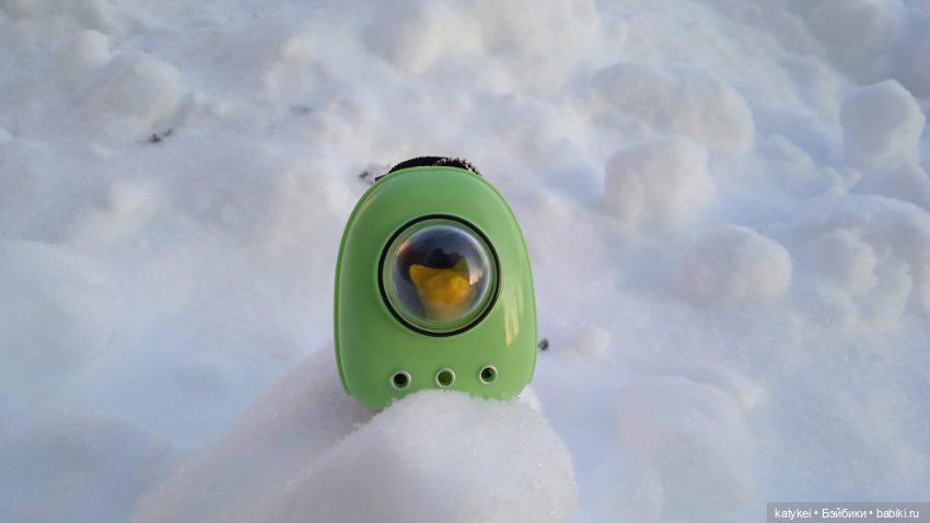 Жёлтая кошечка в переноске и другие