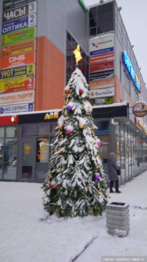 Жёлтая кошечка в переноске и другие