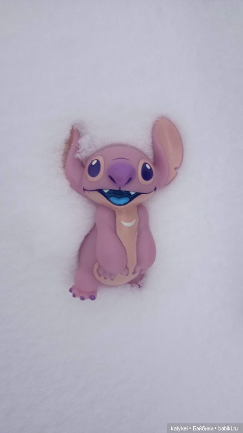 Жёлтая кошечка в переноске и другие