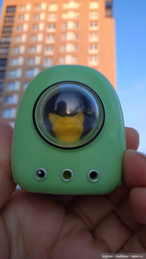 Жёлтая кошечка в переноске и другие