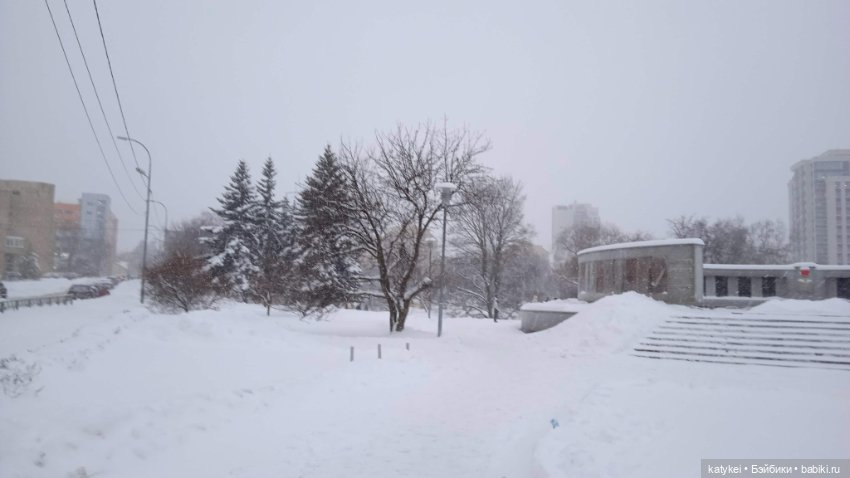 Жёлтая кошечка в переноске и другие (фото 9)