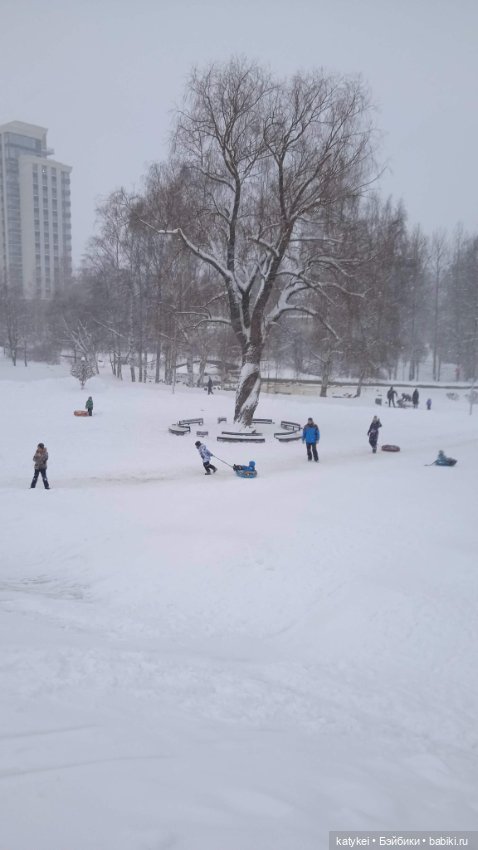 Жёлтая кошечка в переноске и другие (фото 2)