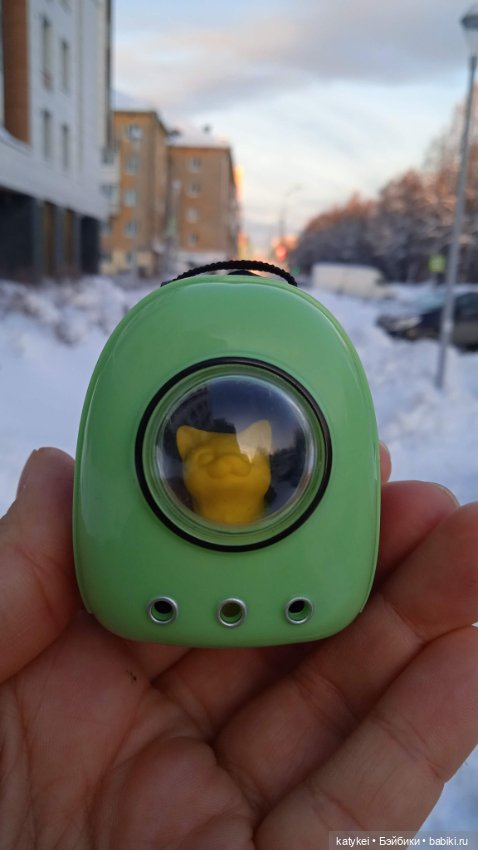 Жёлтая кошечка в переноске и другие