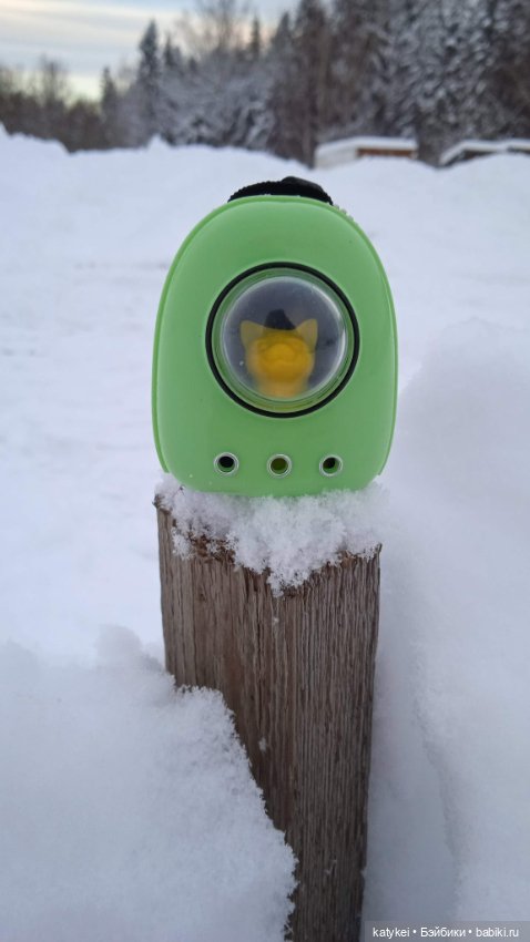 Жёлтая кошечка в переноске и другие