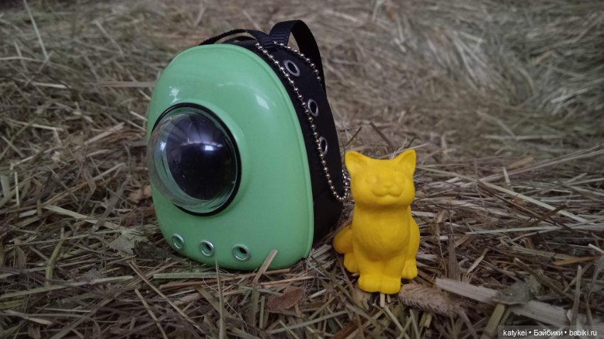 Жёлтая кошечка в переноске и другие