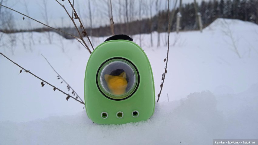 Жёлтая кошечка в переноске и другие