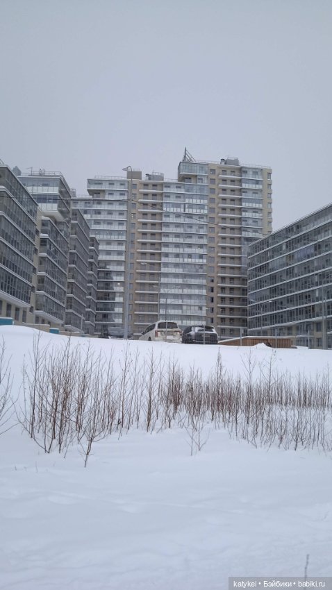 Жёлтая кошечка в переноске и другие