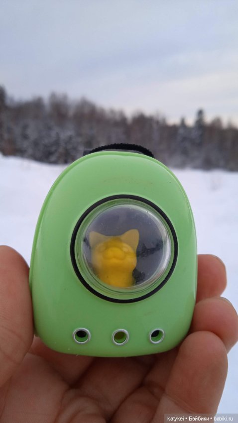 Жёлтая кошечка в переноске и другие