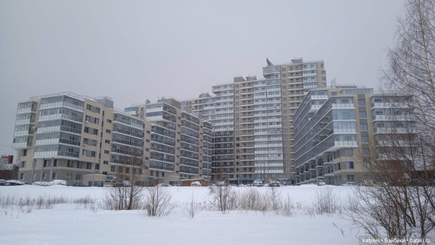 Жёлтая кошечка в переноске и другие