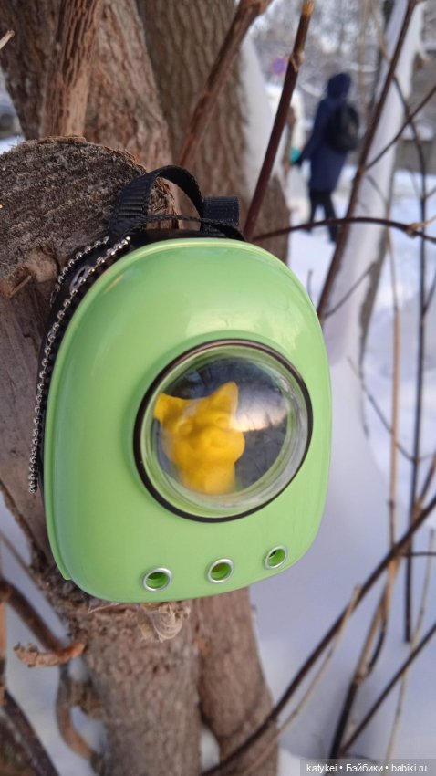 Жёлтая кошечка в переноске и другие