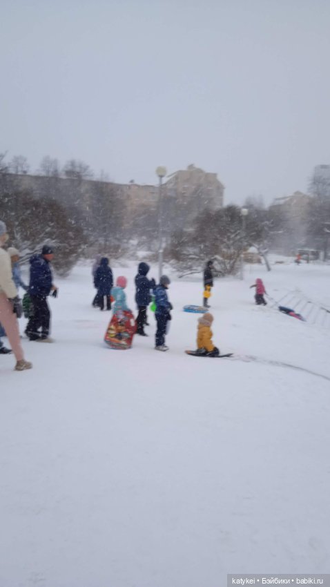 Жёлтая кошечка в переноске и другие (фото 3)
