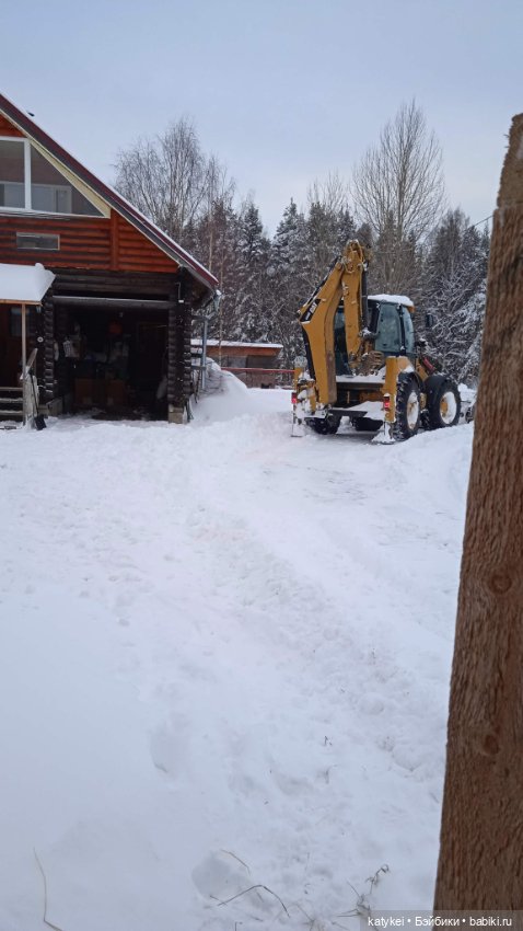 Жёлтая кошечка в переноске и другие