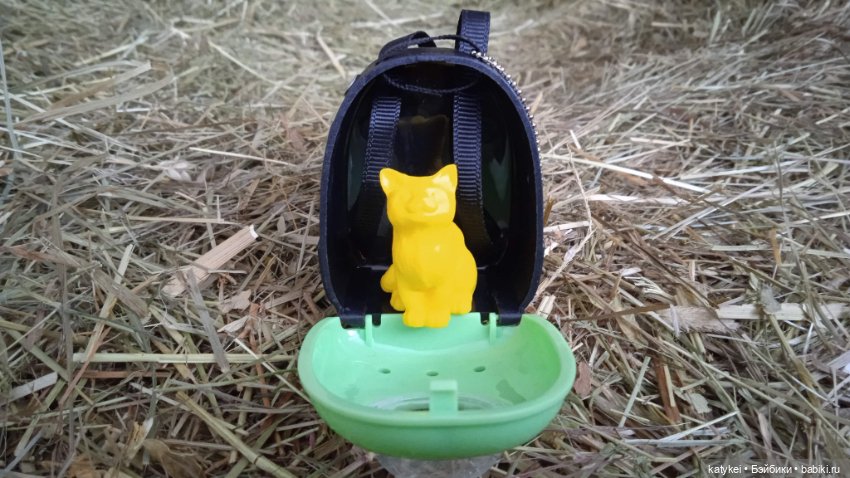 Жёлтая кошечка в переноске и другие