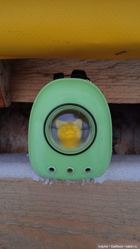 Жёлтая кошечка в переноске и другие