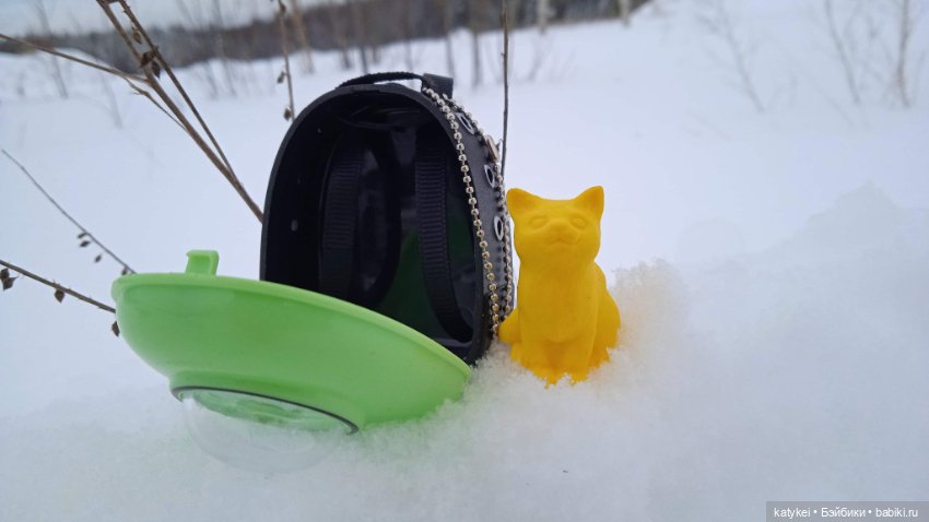 Жёлтая кошечка в переноске и другие